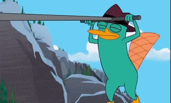 StruggleStrainAndStrength giphyupload platypus perry the platypus phineas ferb GIF