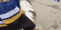 ice hockey blues parade GIF by NHL