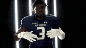 Old Dominion Sport GIF by ODU Football