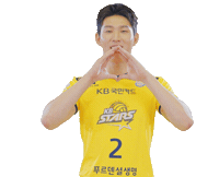 Kb스타즈 Sticker by KB STARS VOLLEYBALL CLUB