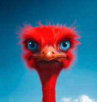 Red Apple GIF by elbe-obst