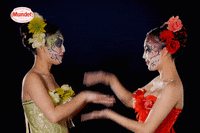 SidralMundet red green apple hands GIF