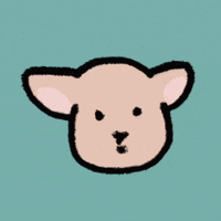 GreyRabbitu what shock huh oh GIF