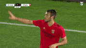 Sl Benfica Wait GIF by Sport Lisboa e Benfica