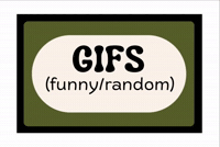Gifsfunnyandrandomourpublicjournal GIF
