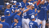 Blue Jays Baseball GIF by Toronto Blue Jays