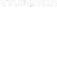 STUBBVRN guitar edm stubborn persistence Sticker