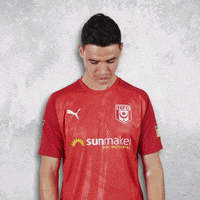 Chemie Halle Hfc GIF by HallescherFC