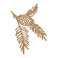 Visitludwigsburg weihnachtsmarkt ludwigsburg christmasmarket visitludwigsburg Sticker