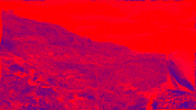 GIF by Good Stuff