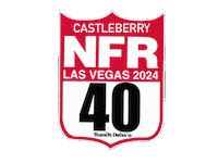 Ashley Rodeo Sticker by RANCH DRESS'N