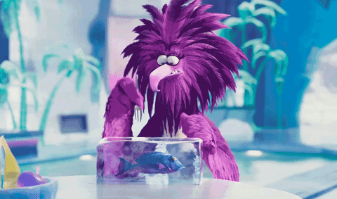 hungry angrybirdsmovie2 GIF