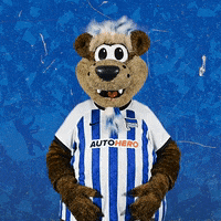 Bundesliga Omg GIF by Hertha BSC
