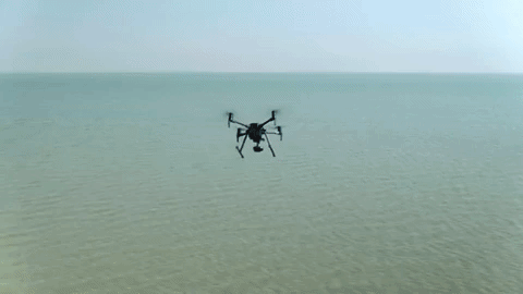drone security GIF