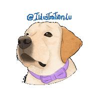 Dogs Perros Sticker