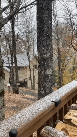 First Snow of the Season Falls in North Carolina's Blue Ridge Mountains