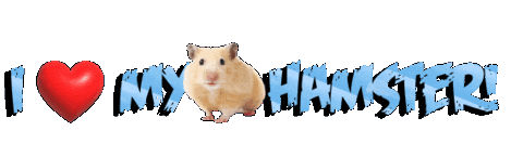 Guinea Pig Love Sticker