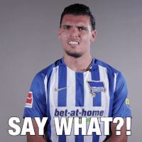 Football What GIF by Hertha BSC