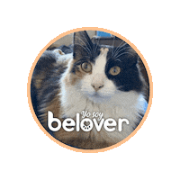 Cat Sticker by Befoods Chile