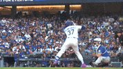 Home Run Baseball GIF by MLB
