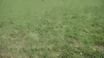 Happy Full House GIF by Lapointe Insurance Agency