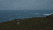 Country Music Smile GIF by Kacey Musgraves