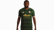 Portland Timbers Shrug GIF by Timbers