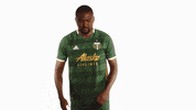Portland Timbers Mls GIF by Timbers