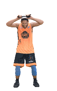 SPDC cbb wilson basquete basquetebol Sticker