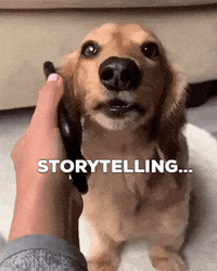 GIF by Dutch Media Sisters