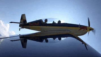 redbullracing france 2019 f1 french GIF
