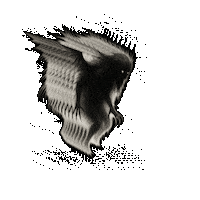 Monster Wrld Sticker by chebemchn