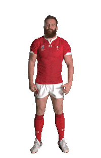 World Cup Sport Sticker by World Rugby