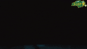 North Dakota State Bison GIF by NDSU Athletics