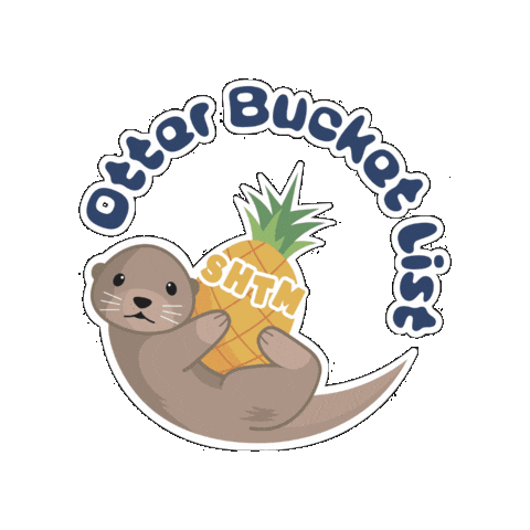 csumbshtm giphygifmaker otter bucketlist csumb Sticker