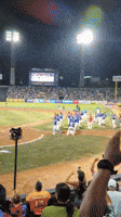 Brawl Erupts at Venezuelan Baseball Finals