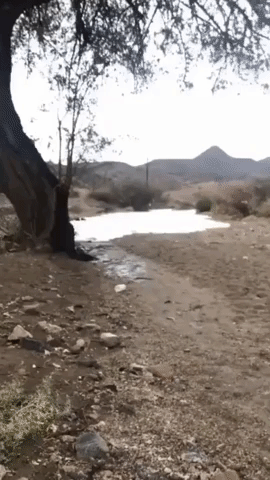 Flash Flood Sweeps Through Desert in Southern Saudi Arabia