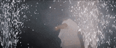 lost in translation GIF by Hedley