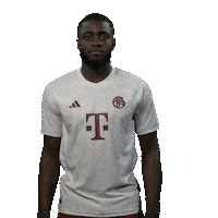 Football Sport Sticker by FC Bayern Munich