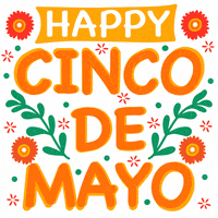 May 5Th Cinco De Mayo GIF by Sonamm