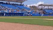 Blue Jays Running GIF by Toronto Blue Jays