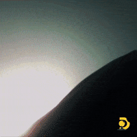 Bite Sharks GIF by Shark Week