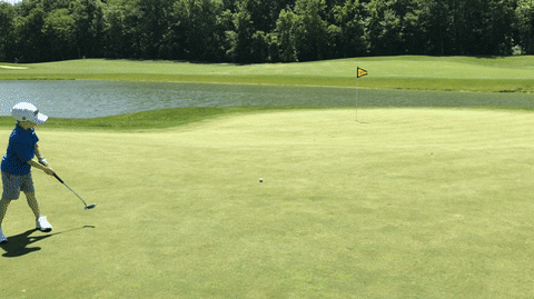 Grantwgates giphyupload GIF