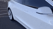 Hellateslas GIF by Telsa Owners East Bay