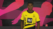 Borussia Dortmund Arms GIF by Bundesliga