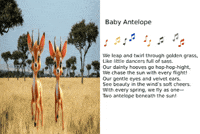 Ai Generated GIF