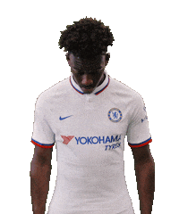 Premier League Sport Sticker by Chelsea FC