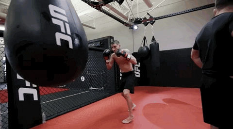 Episode 8 Mma GIF by UFC