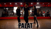 shahrukh khan dance GIF by BFUNK