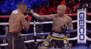 top rank trboxing GIF by Top Rank Boxing